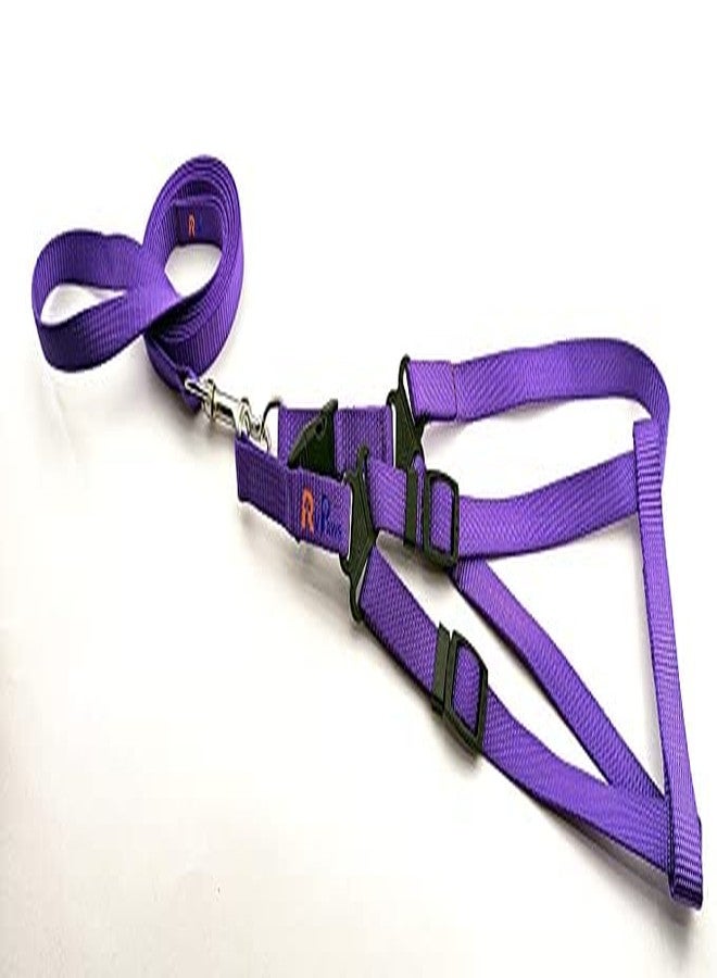 Pups&Pets Puppy 15 MM Nylon Adjustable Leash with 0.5 Inch Harness Set for Small & Medium Dogs - Purple - Image 2
